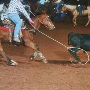 Meet your Posher, Bobby